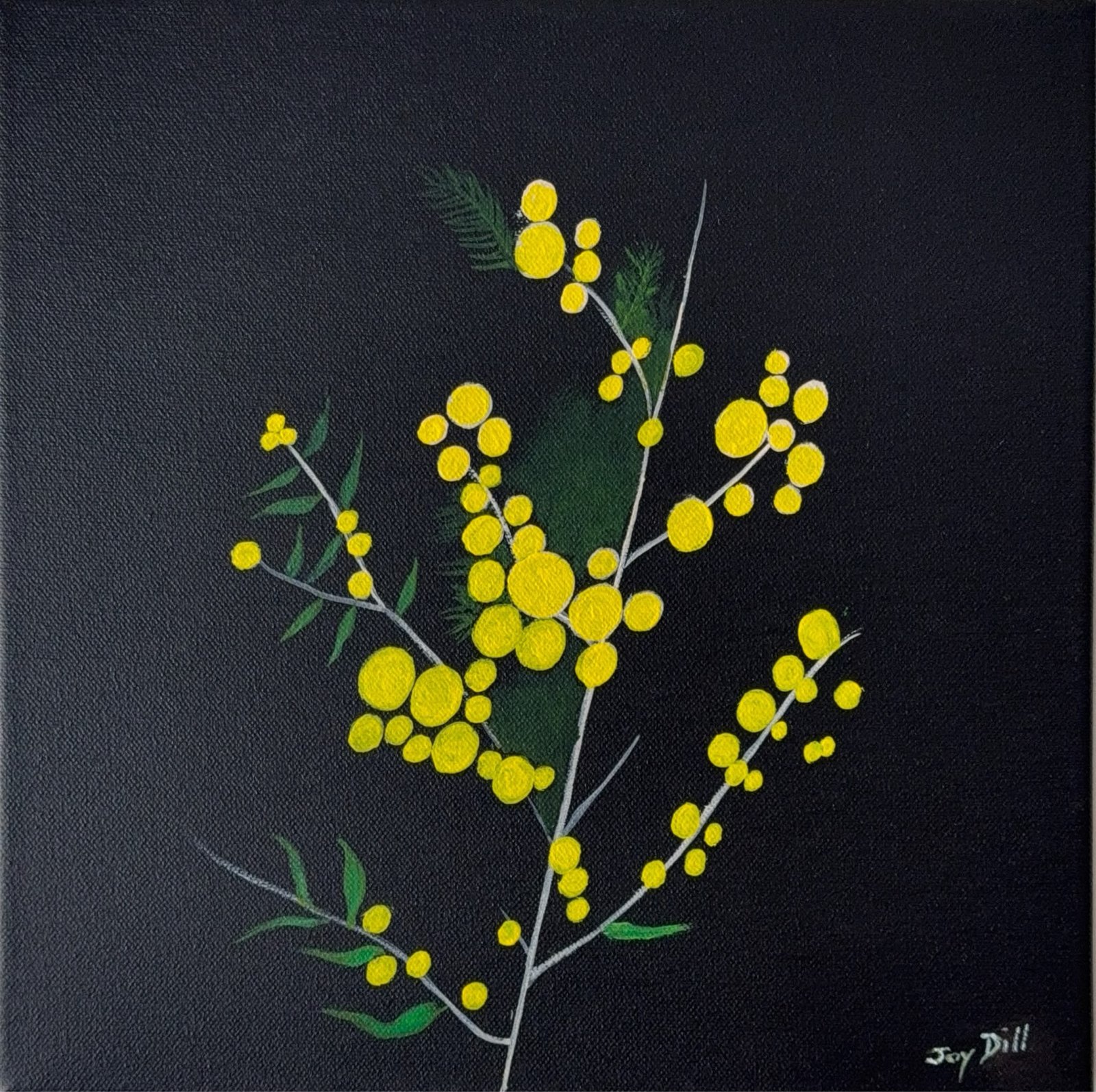 Wattle Whisper by Joy Dill