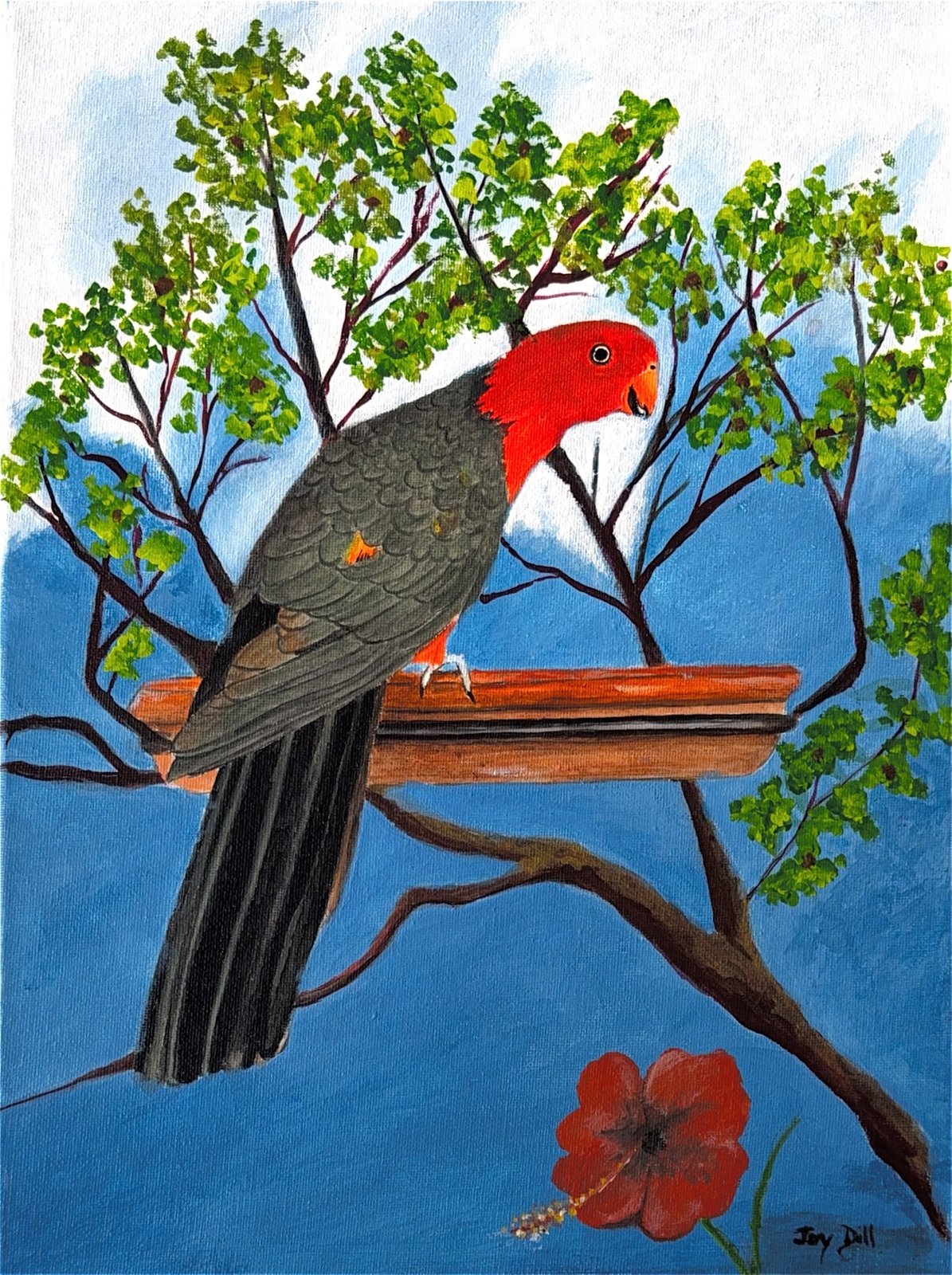 Australian King Parrot