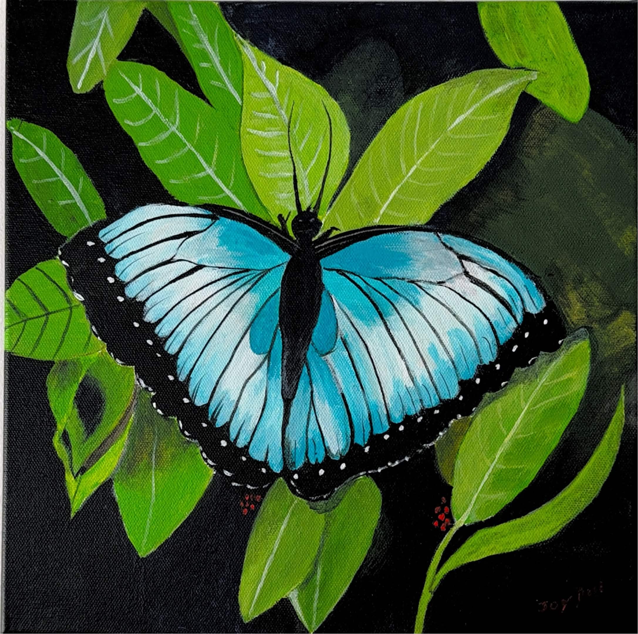 Whisper of Wings by Joy Dill