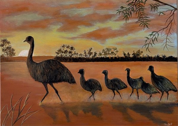 Outback Wanderers